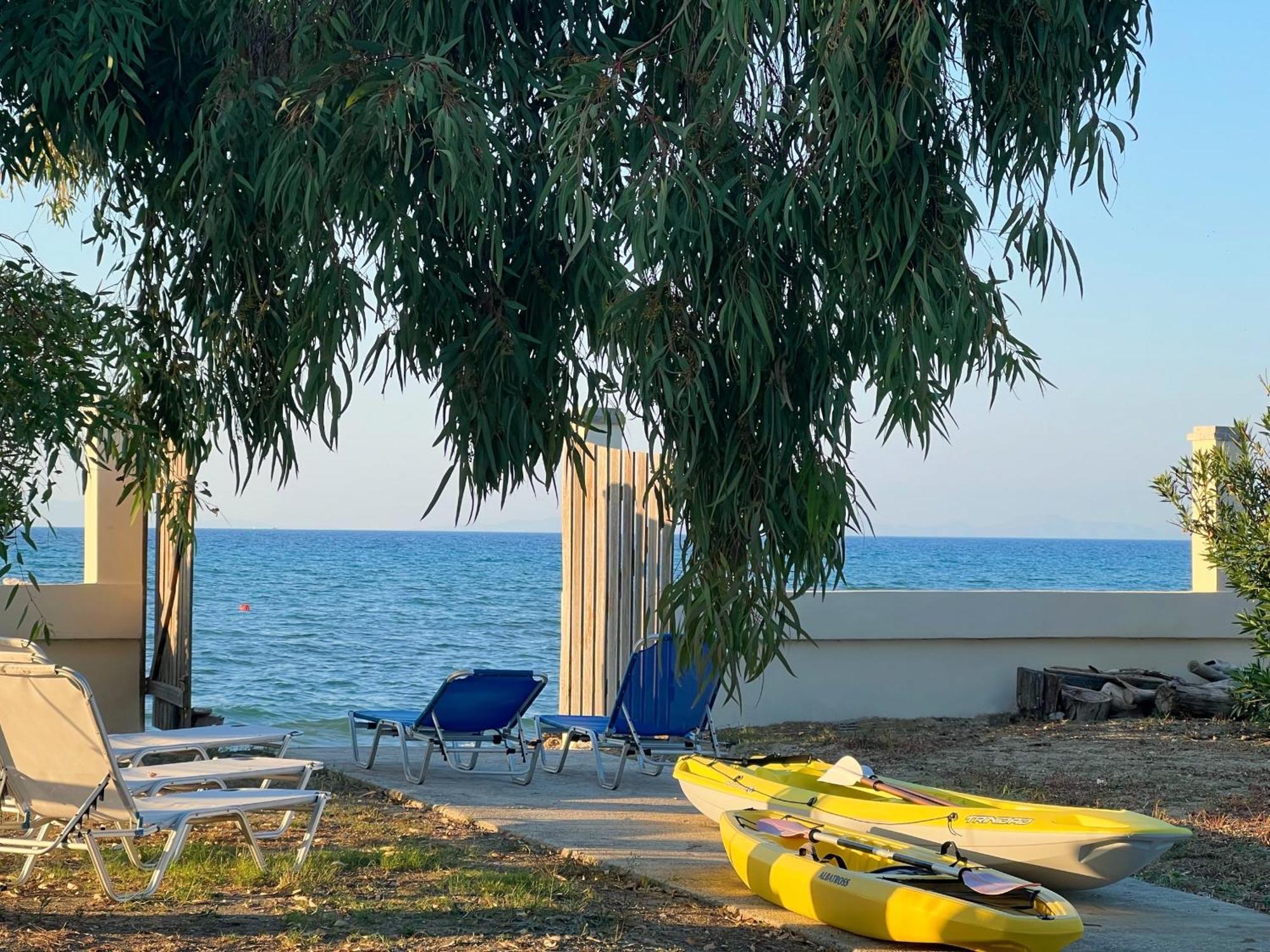 Dimitra - Seaside Apartment *